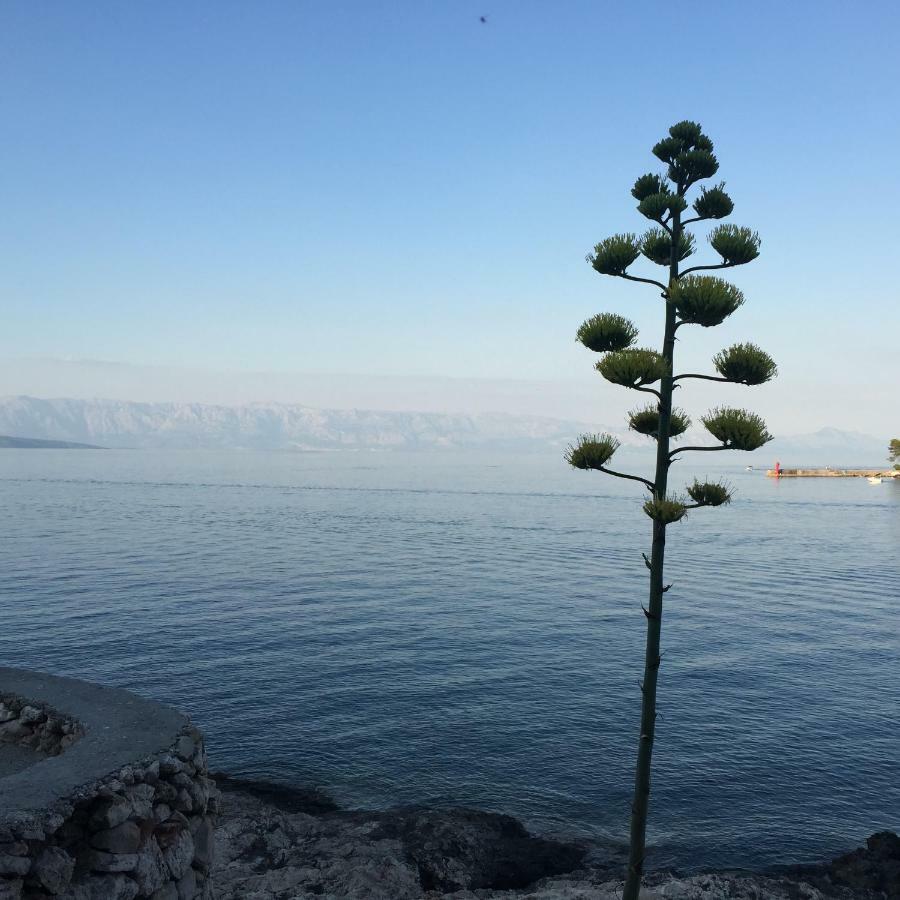 Vila Familia Hvar Hotel Vrboska Kültér fotó